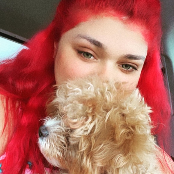 Meet your Posher, Clara - Picture 2 of 2